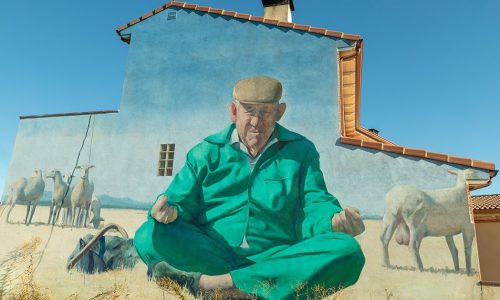 Zen En El Arte Del Pastoreo