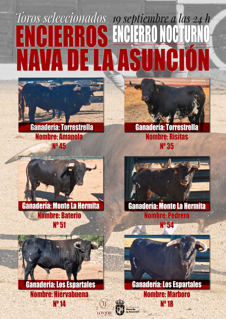 Selección de Toros